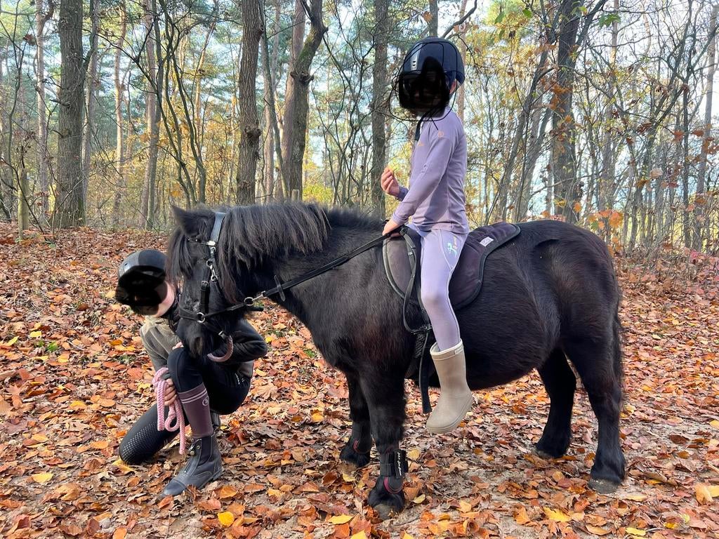 Shetlander leasen verzorgen bijrijden paardrijles bijrijder, Ophalen