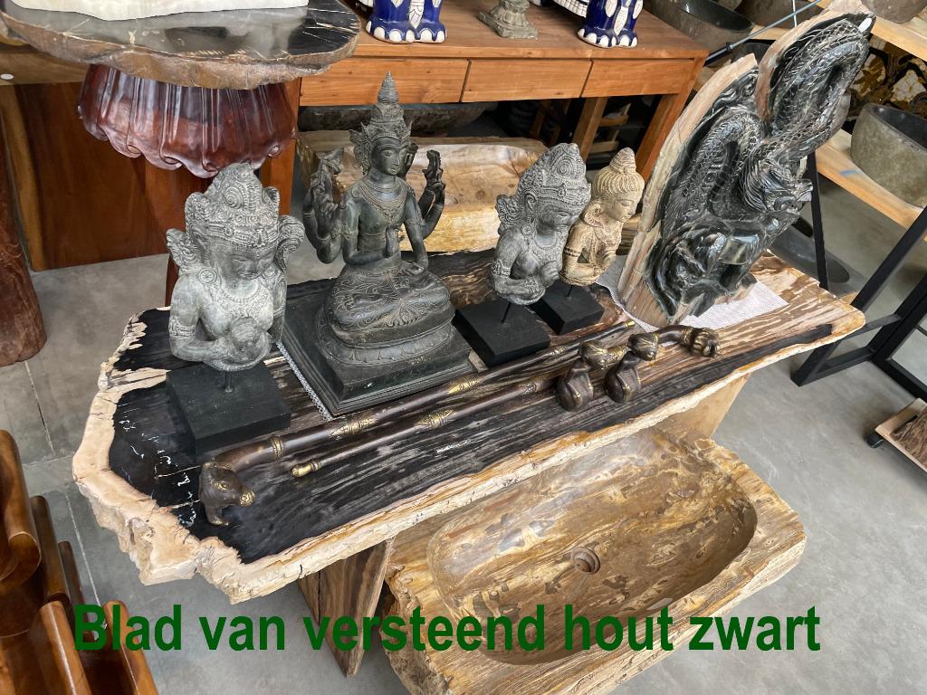 Ronde bladen van versteend hout een fossiel 50 tot 65cm, Ophalen, Fossiel