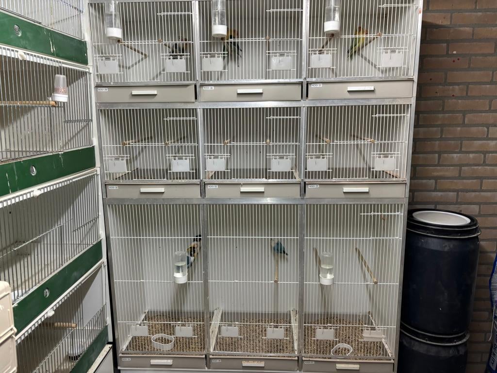 Gehu kooien, Dieren en Toebehoren, Vogels | Hokken en Kooien, Ophalen, Zo goed als nieuw, Hout, Broedkooi of Kweekkooi