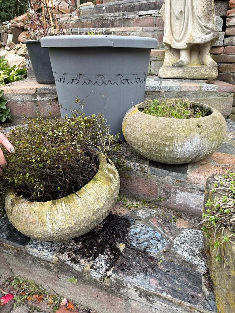 Twee ronde stenen bloempotten, Steen, Gebruikt, Rond, Minder dan 40 cm