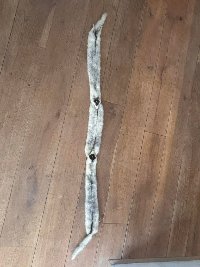 Wit Hermelijn bont, Ophalen of Verzenden