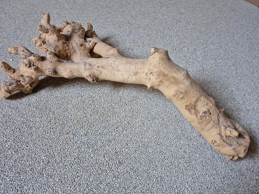 Sierstronk 70x40 cm - Decoratieve Houtstronk, Ophalen of Verzenden, Gebruikt