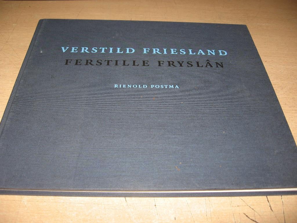 Rienold Postma       Verstild Friesland, Ophalen of Verzenden, Zo goed als nieuw, Schilder- en Tekenkunst