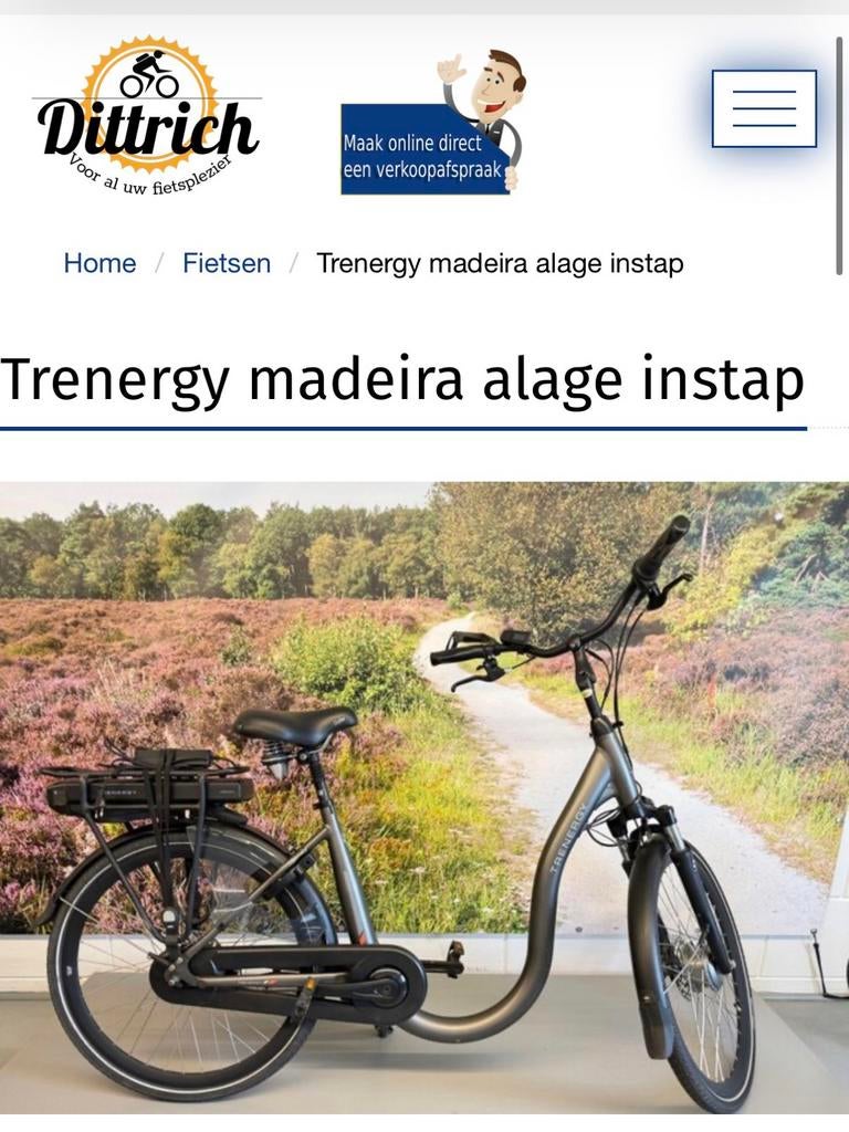 Trenergy Elektrische Fiets met Lage Instap - Comfortabel, Fietsen en Brommers, Gebruikt, 47 tot 51 cm, Info@fietswerelddittrich.nl