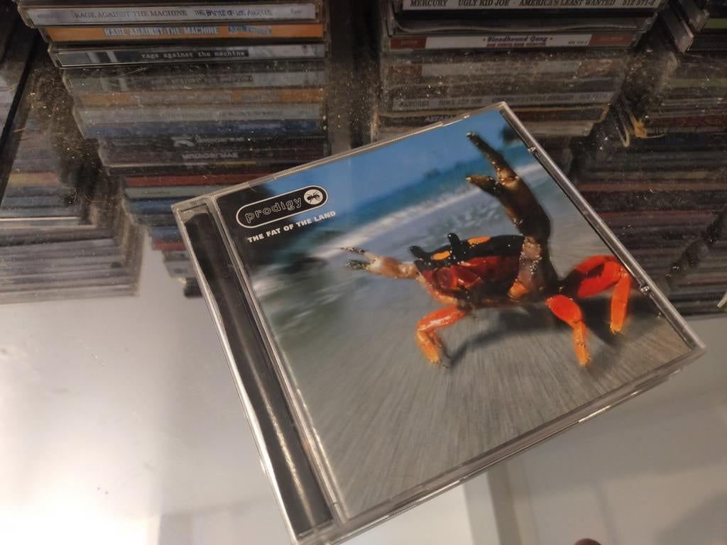 The Prodigy - The Fat of the Land CD, Ophalen of Verzenden, Gebruikt, Dance Populair