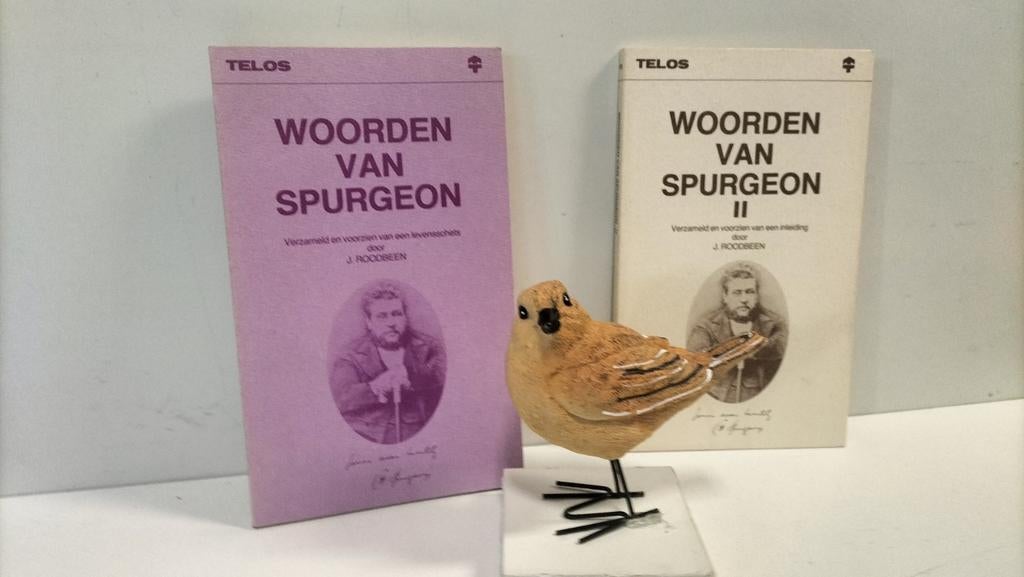 Roodbeen, J.; Woorden van Spurgeon 1 en 2, Ophalen of Verzenden, Gelezen, Christendom | Protestants