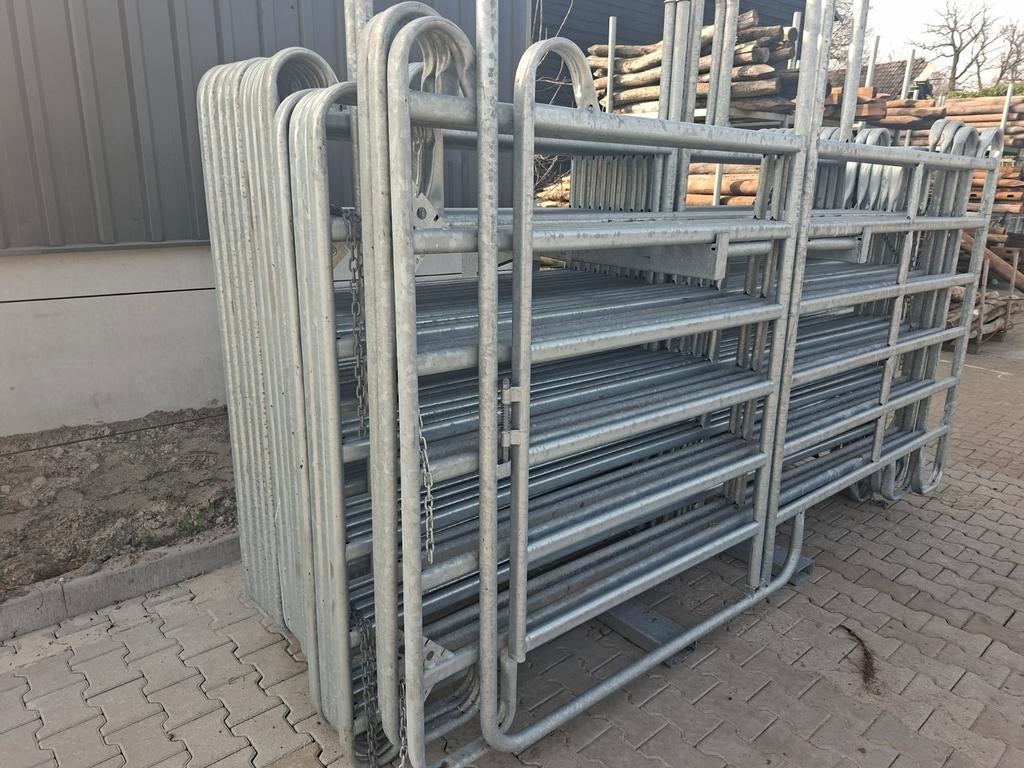 Vanghekken, Texas panelen, Dieren en Toebehoren, Schapen, Geiten en Varkens, Mannelijk