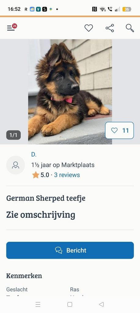 GERMAN SHERPED ADVERTENTIES ZIJN FAKE!!, 8 tot 15 weken, Buitenland, Eén hond, Reu