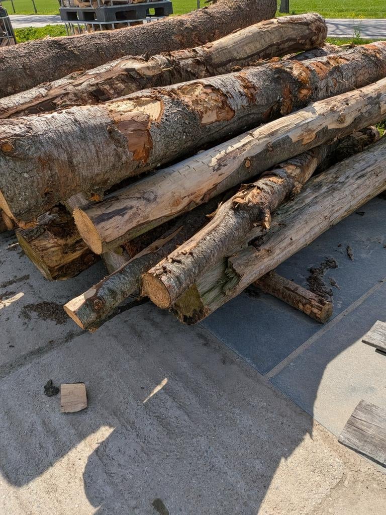 Douglas stammen aankomende winter stookbaar, Tuin en Terras, Haardhout, 6 m³ of meer, Ophalen, Stammen