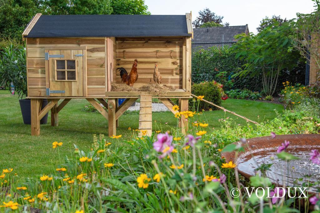 Konijnenhok Dennis, 110 cm of meer, Nieuw, Ophalen of Verzenden, 90 cm of meer