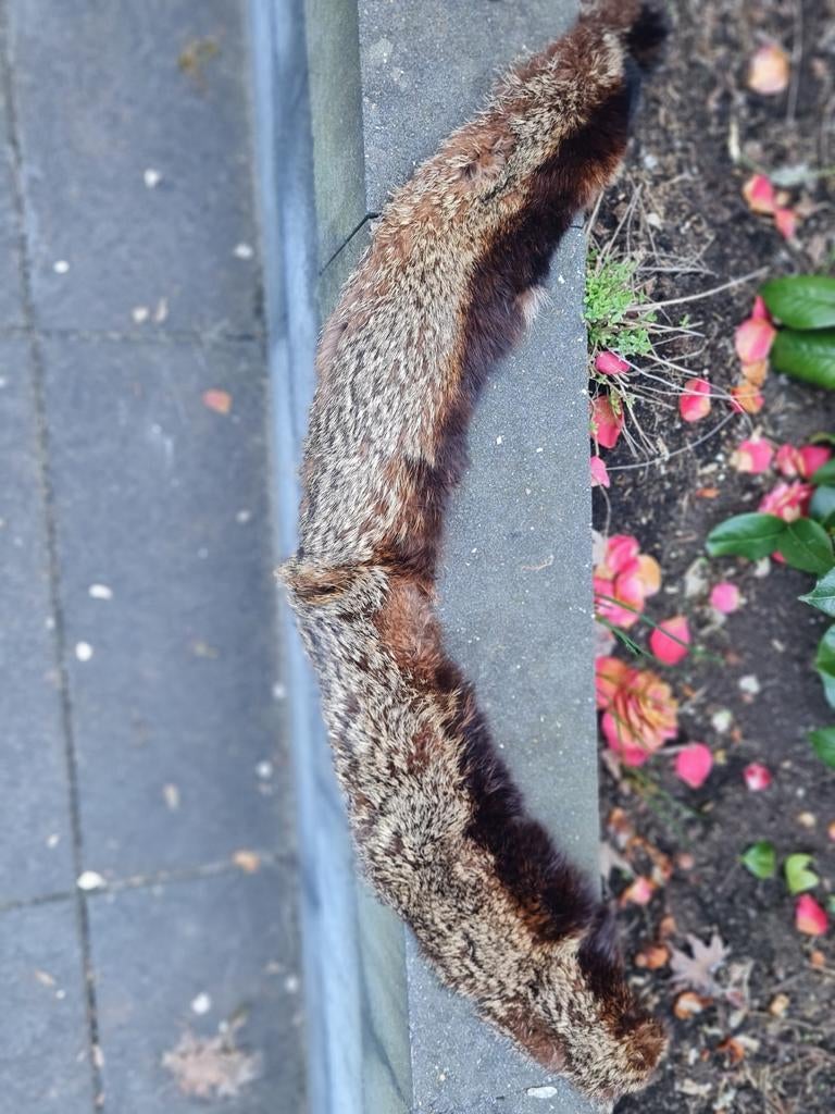 Bont sjaal 90 cm, Ophalen of Verzenden