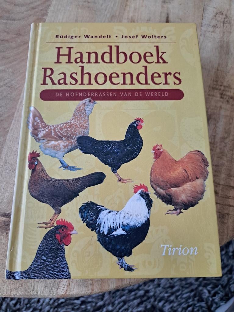 J. Wolters - Handboek rashoenders, Gelezen, Ophalen of Verzenden, J. Wolters; R. Wandelt, Paarden of Pony's