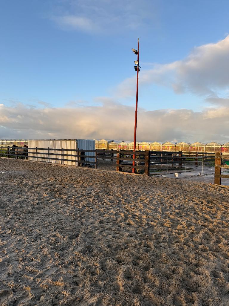 24/7 buiten en weidegang, Weidegang, 2 of 3 paarden of pony's