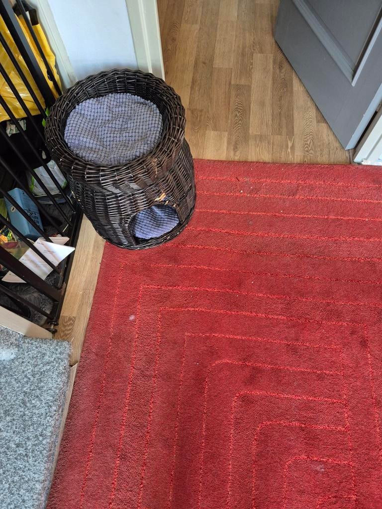 slaapton, Ophalen, Kat