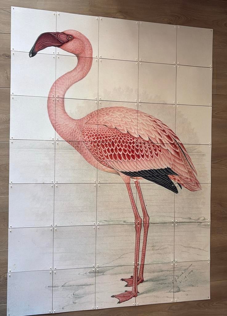 IXXI lesser flamingo afmeting 100 x 140 cm (groot formaat), Huis en Inrichting, Woonaccessoires | Schilderijen, Tekeningen en Foto's