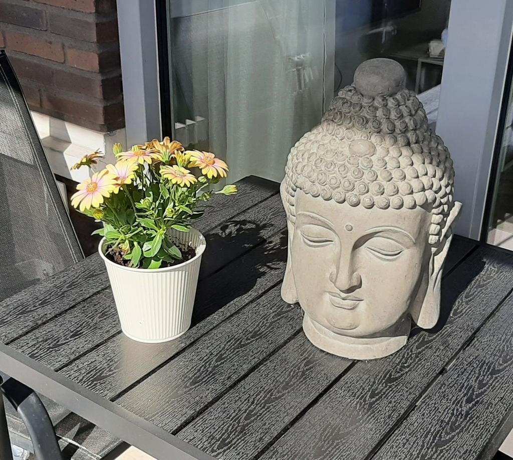 Boeddha tuinbeeld, Ophalen of Verzenden, Zo goed als nieuw