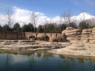 € 5,00 korting pp WILDLANDS Adventure Zoo Emmen (max 5 pers), Tickets en Kaartjes, Drie personen of meer, Kortingskaart