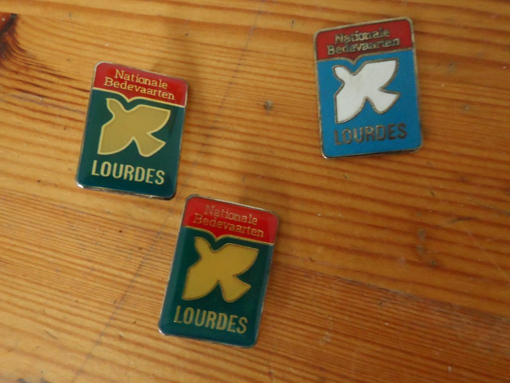 Lourdes speldjes en hangers - 3 speldjes / 3 hangers, Ophalen of Verzenden, Gebruikt, Sieraad, Christendom | Katholiek