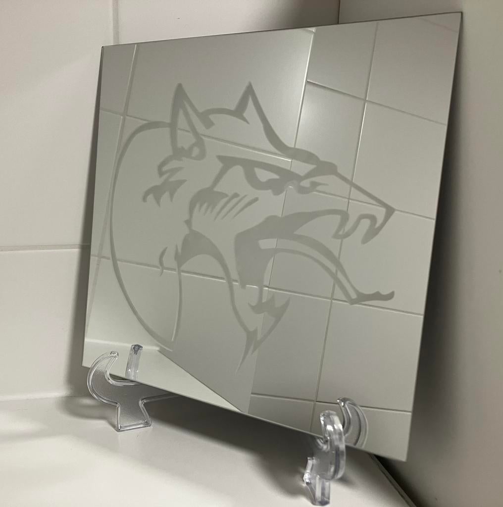 Neophyte Records Spiegel Hardcore Rotterdam Euromasters ID&T, Minder dan 50 cm, Vierkant, Ophalen of Verzenden, Zo goed als nieuw