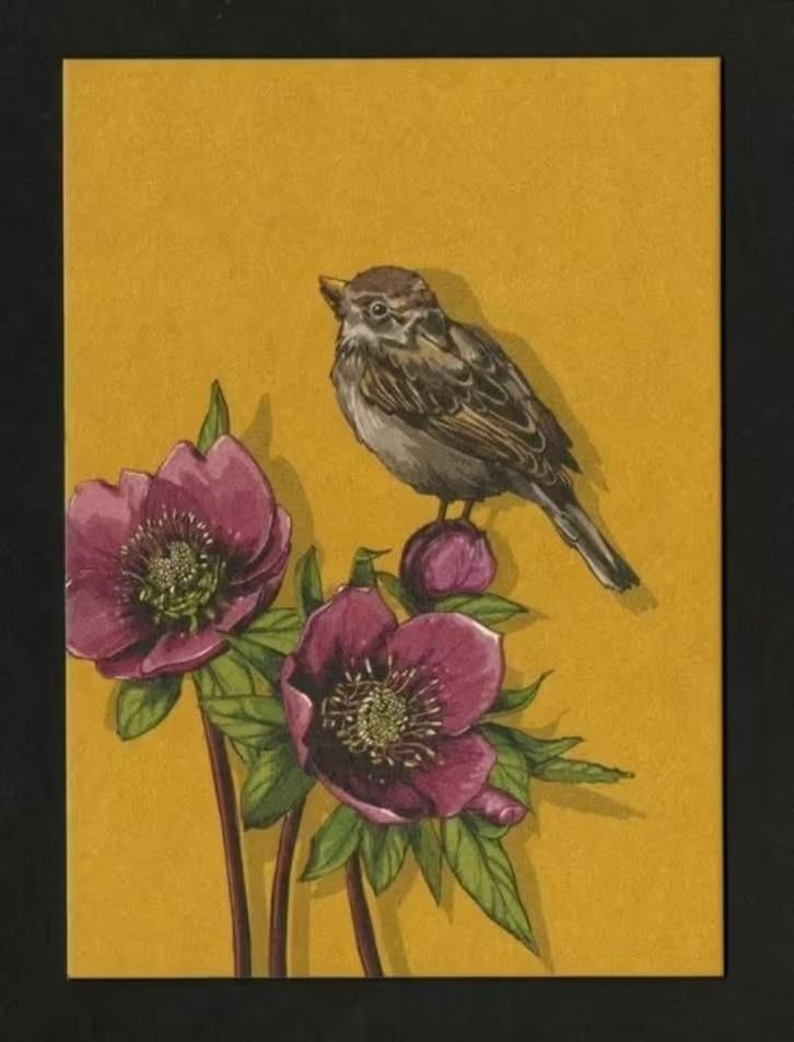 Huismus Mus Passer Domesticus, Ophalen of Verzenden, 1980 tot heden, Ongelopen, Vogel