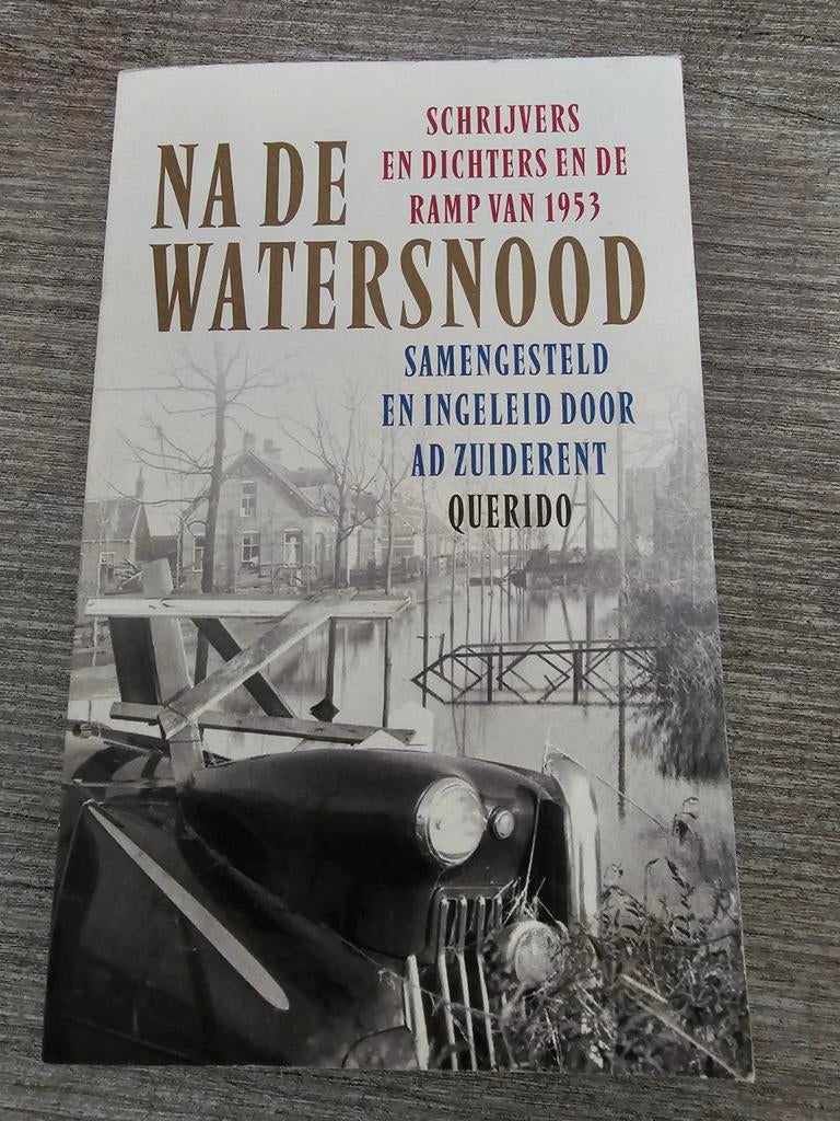 Na de Watersnood - Ramp van 1953, Ophalen of Verzenden, Gelezen, Ad Zuiderent Querido