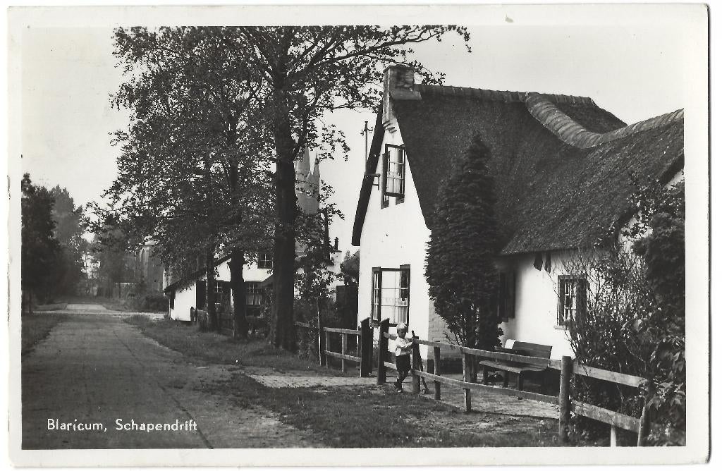Blaricum, Schapendrift, Verzenden, 1940 tot 1960, Gelopen, Noord-Holland