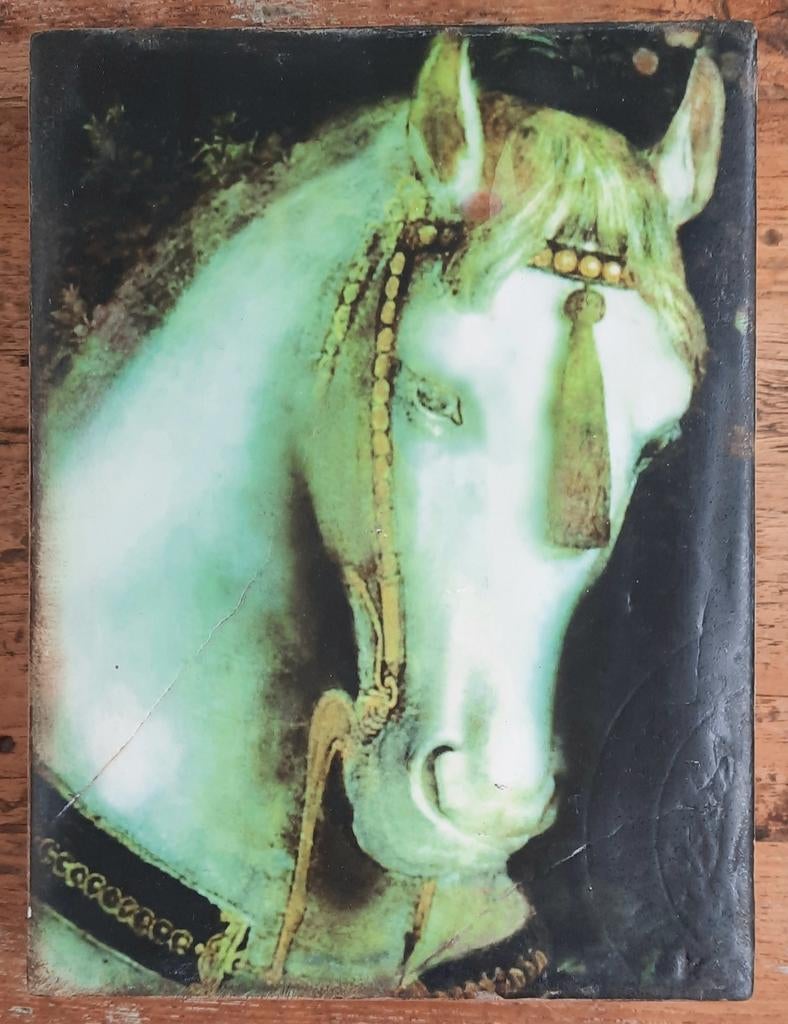 Sid Dickens Memory Block T-104 White Horse, Ophalen of Verzenden