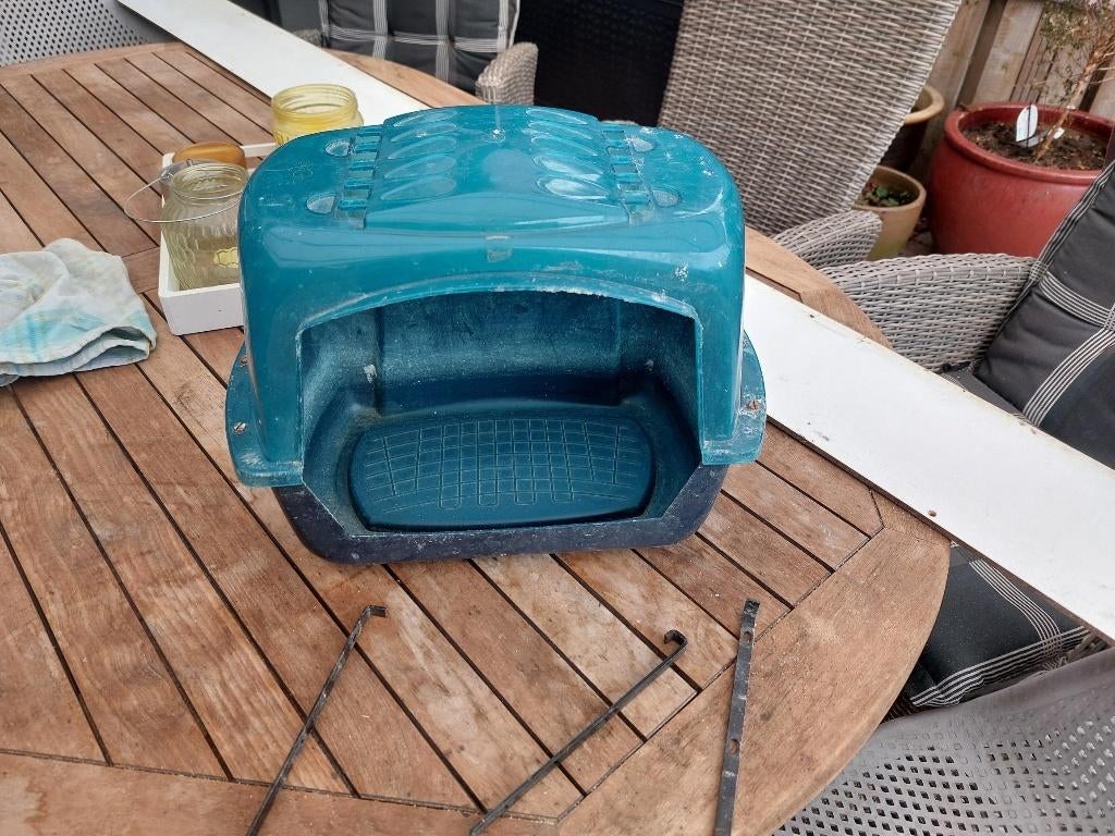 baad bak papagaai, Dieren en Toebehoren, Geslacht onbekend, Papegaai
