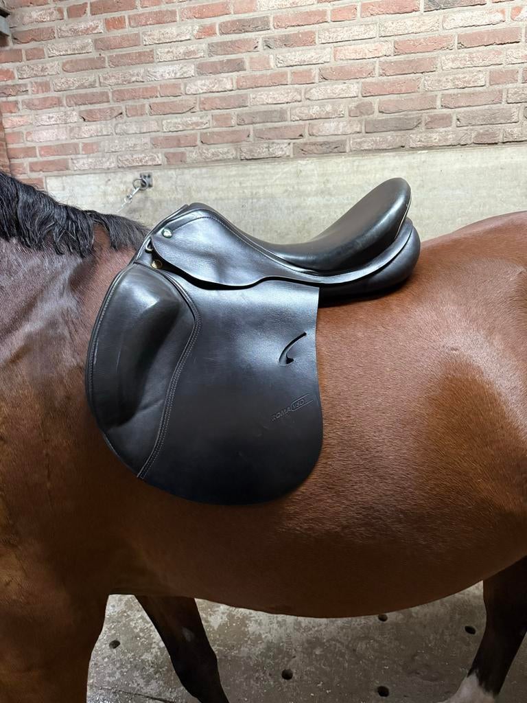 Prestige Roma zadel veelzijdigheid, Dieren en Toebehoren, Ophalen, Zo goed als nieuw, Recreatie