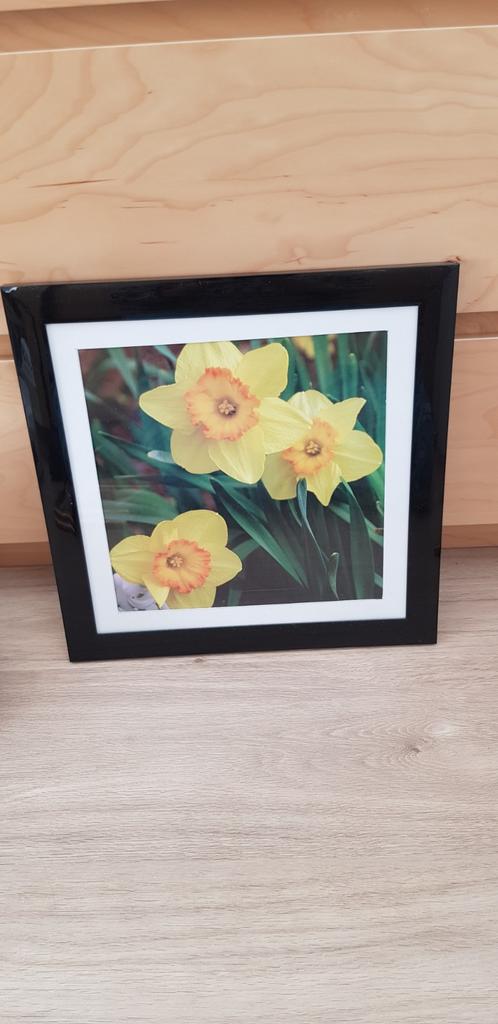 Mooie schilderij, Huis en Inrichting, Woonaccessoires | Schilderijen, Tekeningen en Foto's, Ophalen of Verzenden, Zo goed als nieuw