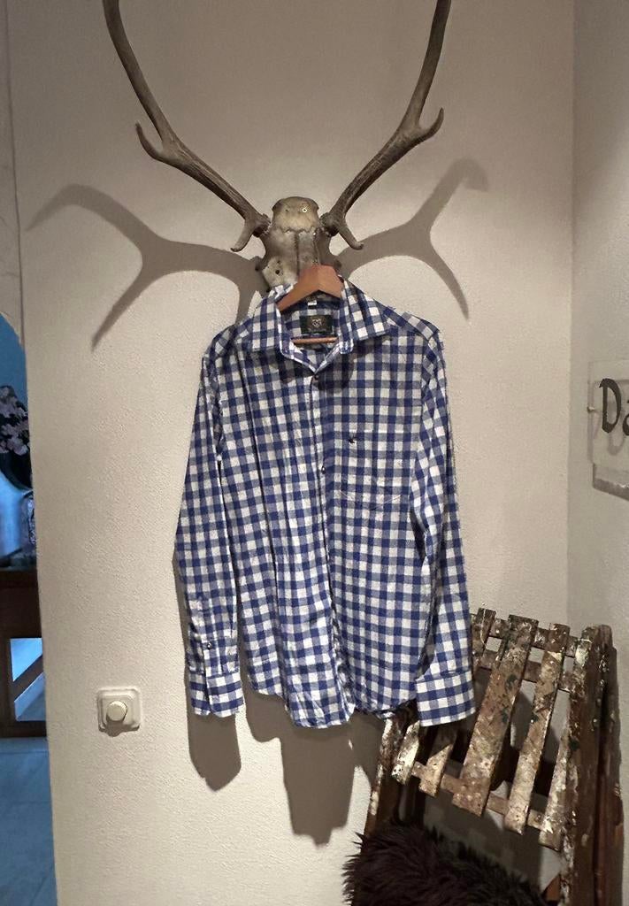 Blouse, Maat 48/50 (M), Nieuw, Ophalen of Verzenden, Overige thema's