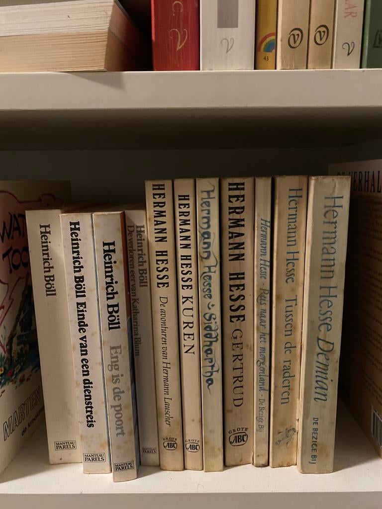 Verzameling nederlandse literatuur uit de jaren 70-90, Ophalen, Gelezen