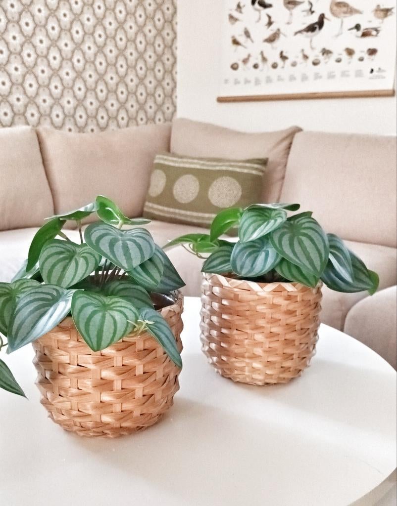 2 Ikea Kaffeböna plant pot, bamboo, Verzenden, Overige kleuren, Minder dan 50 cm