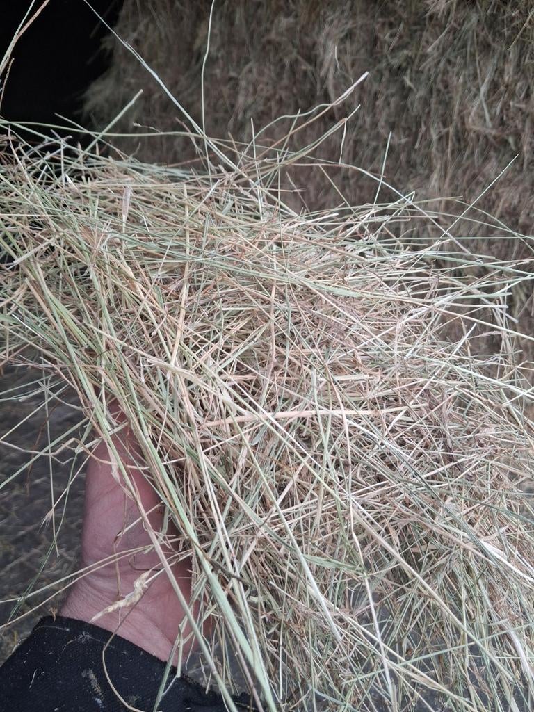 Suikerarm weidehooi, Frans weidehooi, hooibalen, Dieren en Toebehoren, Ophalen of Verzenden, Vee