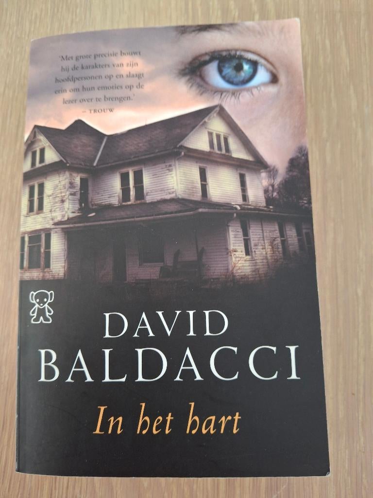 David Baldacci, Boeken, Thrillers, Ophalen of Verzenden, Zo goed als nieuw, David Baldacci, Nederland