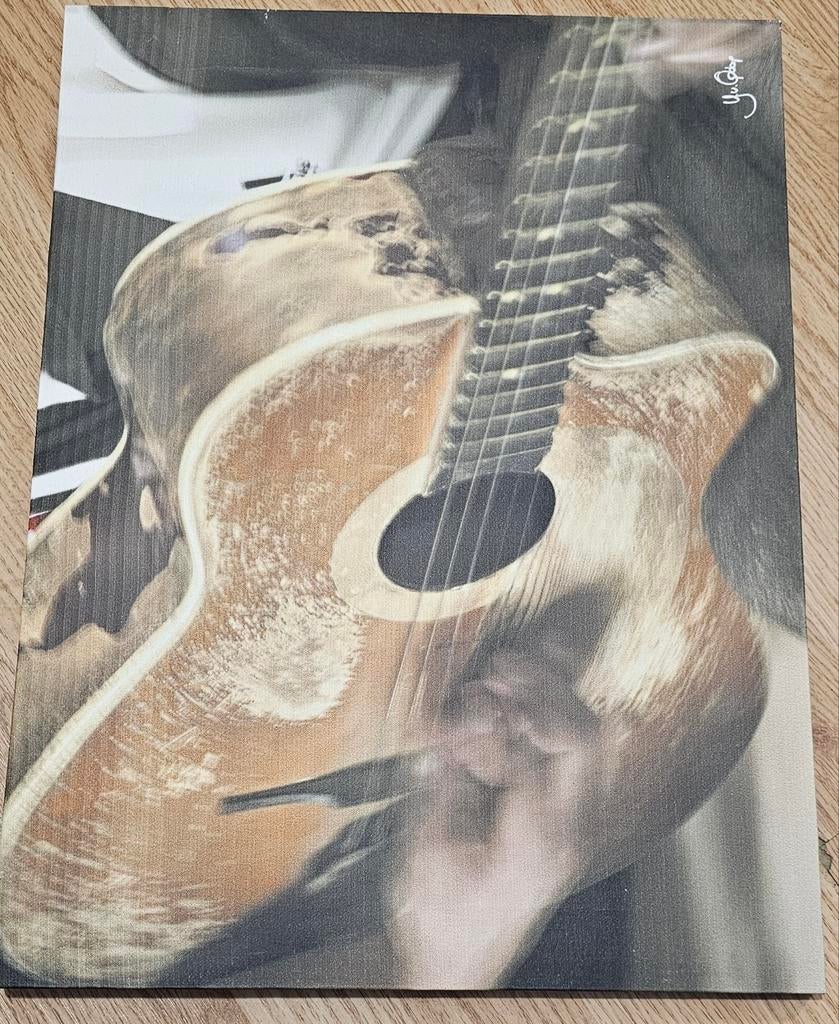 Schilderij met gitaar, 48,3 bij 36,5 cm, Ophalen