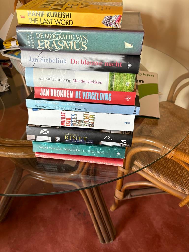 Boeken literatuur, Boeken, Ophalen of Verzenden, Gelezen, Nederland