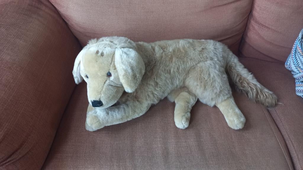 Pluche labrador, Gebruikt, Overige merken, Overige karakters, Beige