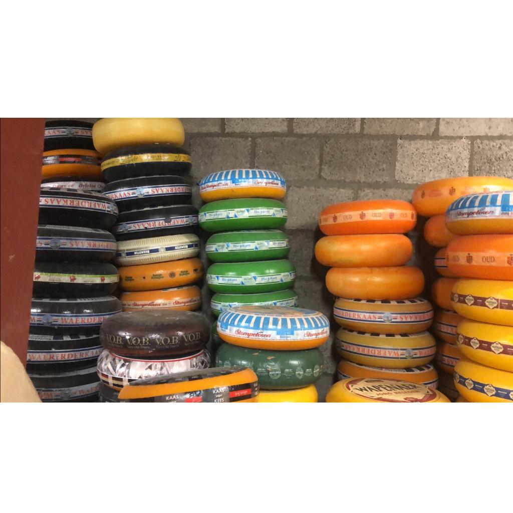 Kaasdummie kanterkaas - goudse kaas - 35 cm - dummiekaas