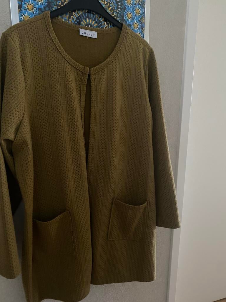 Leuk vestje….jasje. Maat 50;   Merk Zhenzi, Ophalen of Verzenden, Zo goed als nieuw, Jasje of Colbert