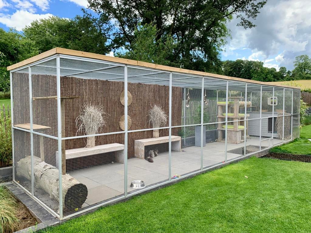 Kattenren  /  Volière  10m x 2m (aanpasbaar: kleiner/groter), Dieren en Toebehoren, Katten-accessoires, Ophalen, Gebruikt