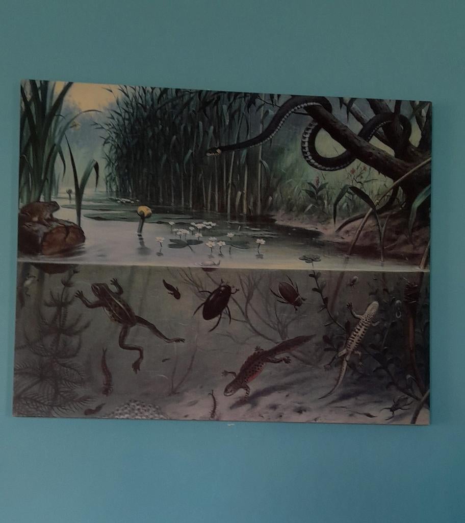 Schoolplaat schilderij, Ophalen of Verzenden