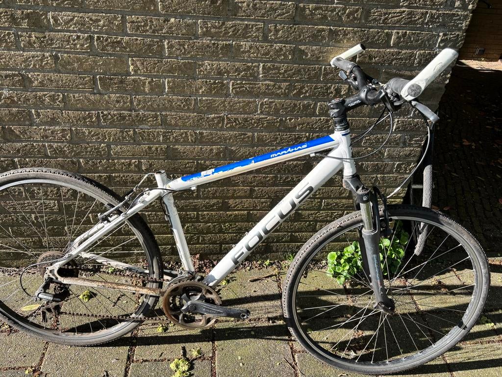 Gratis Focus Mountainbike damesfiets, Fietsen en Brommers, Fietsen | Mountainbikes en ATB, Gebruikt, Hardtail, 49 tot 53 cm, Dames