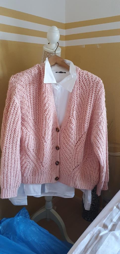ROZE VEST MAAT M MERK SET + BLOUSE., Kleding | Dames, Truien en Vesten, Ophalen of Verzenden, Zo goed als nieuw, Roze