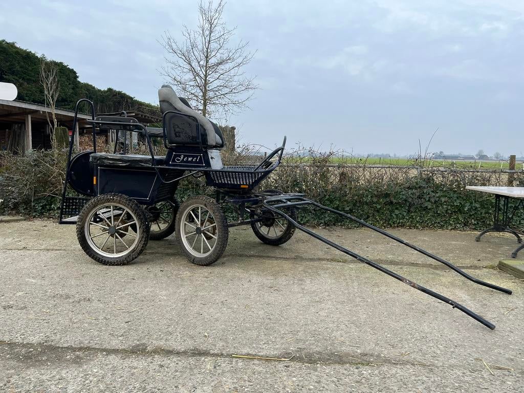 Marathonwagen – geschikt voor grote pony/paard en dubbelspan, Ophalen