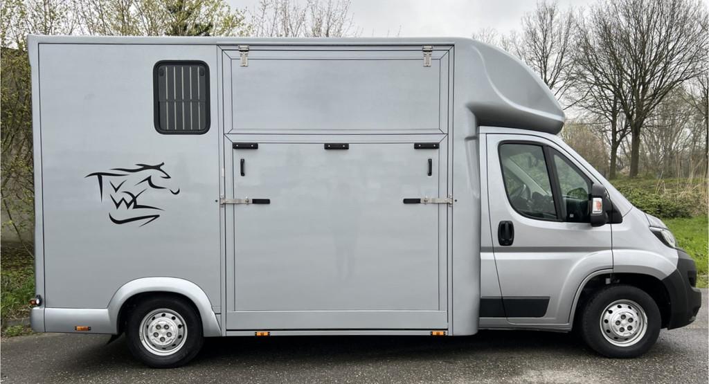 Peugeot Boxer Paardenwagen / Horsetruck / Veewagen, Dieren en Toebehoren, Paarden en Pony's | Trailers en Aanhangwagens, Gebruikt