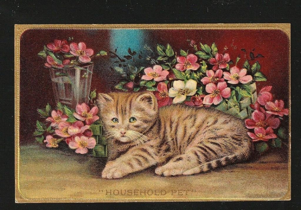 Ansichtkaart Poezen D19-13, Verzenden, Voor 1920, Ongelopen, Overige thema's