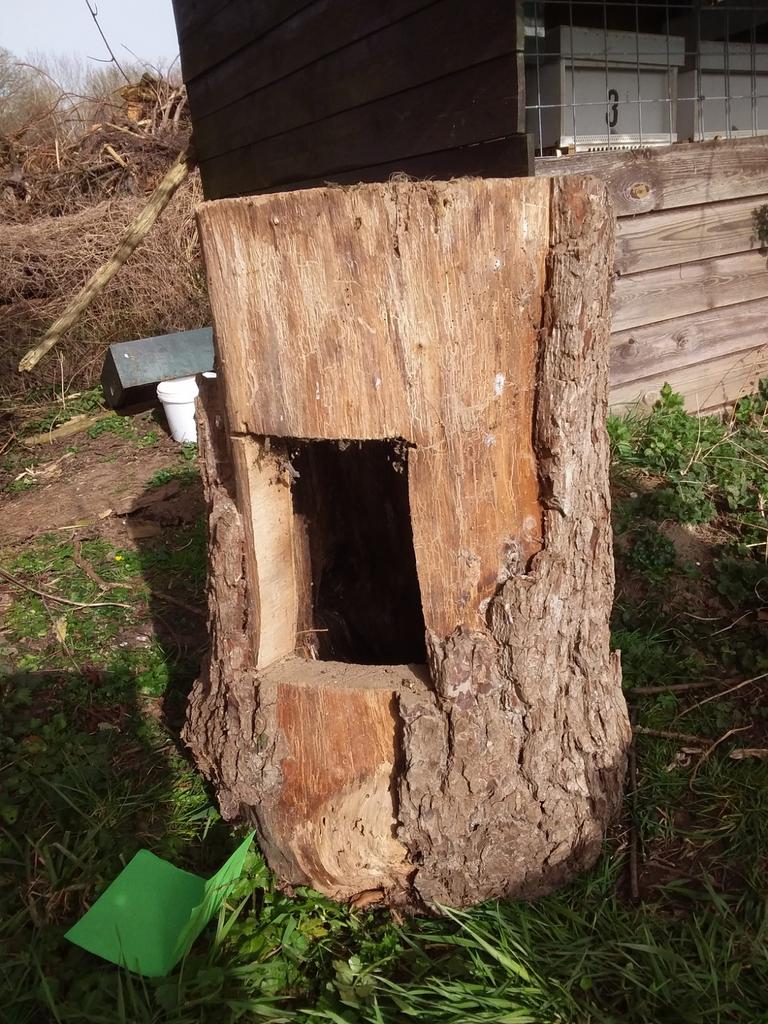 Bijen boomstam voor natuurlijk imkeren, Bijen