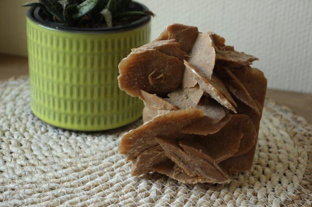 Woestijnroos, Ophalen of Verzenden