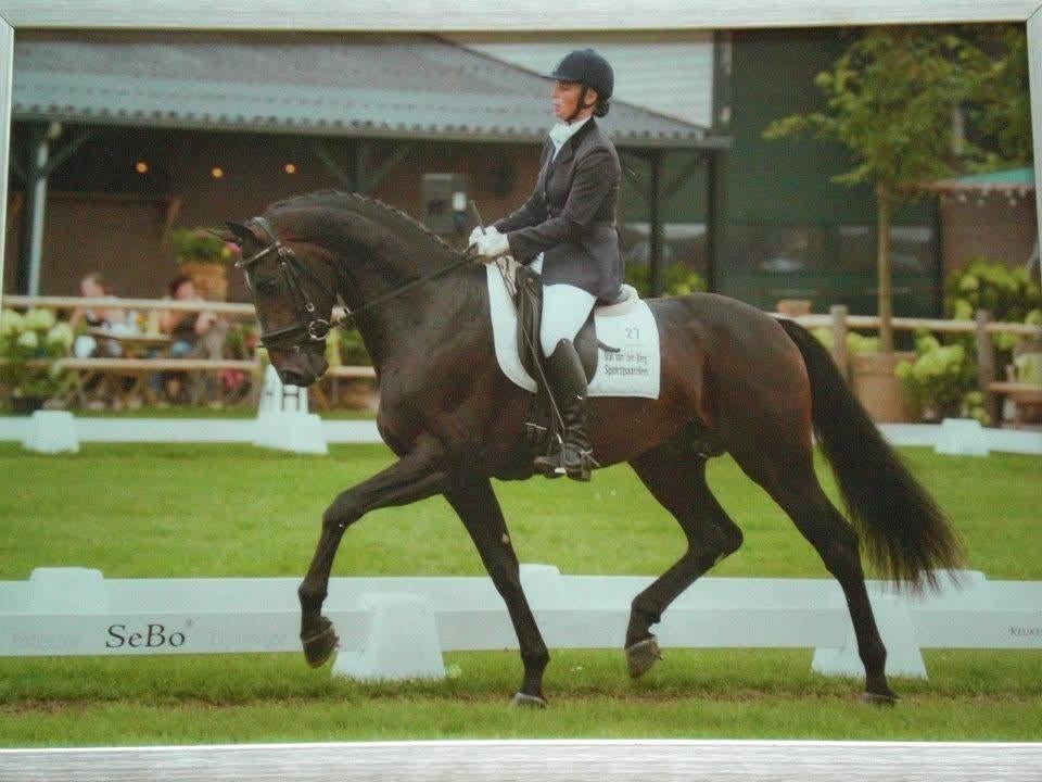 Instructie aangeboden